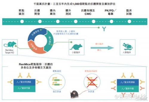 百奥赛图硬实力撬动资本寒冬,港股迎来全球领先的生物科技稀缺标的