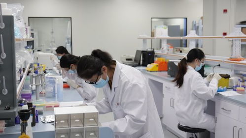 打造全球领先的服务平台,浦东这家企业正加速创新药物研发