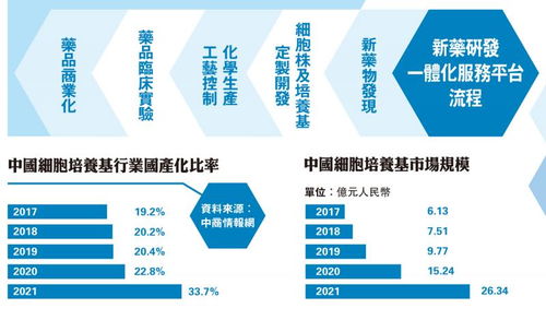 新药研发一体化服务平台流程